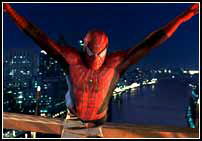 Pese a las palabras de Raimi, asegurando que lo que más le interesaba era la vida privada de Peter Parker, ésta queda reducida a cuatro tópicos.