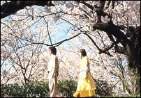 Lo grande de Kitano es que las tres historias de amor o est�n narradas separadamente, sino que coinciden con otras narraciones tr�gicas.