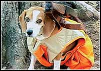 El t�tulo remite al instituto de ense�anza media de Columbine (Littleton, Colorado) en el que dos adolescentes, despu�s de asistir a su clase de bolos, asesinaron a una veintena de personas, entre alumnos y profesores. 