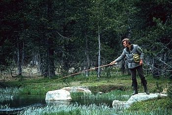 Entre 1955 y 1969 Logan realiza �nicamente nueve filmes. El �xito que obtuvo con Picnic no le vuelve a acompa�ar. La industria cinematogr�fica, necesitada de grandes �xitos, relega a un segundo plano al realizador del que tanto hab�a esperado. 